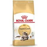 Royal Canin Cats Pets Royal Canin Maine Coon Adult 10kg
