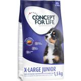Concept for Life 1kg/1.5kg Dry Dog Special Price!*