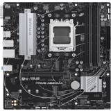 AMD Motherboards on sale ASUS PRIME A620M-A-CSM