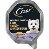 Cesar dog food Cesar 150g garden terrine wet dog food trays