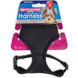 Ancol comfort dog padded harness viva