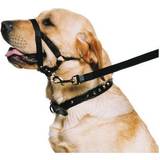 Ancol Dog Training Halter Head Collar Stop