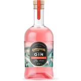 Kopparberg Strawberry & Lime Gin 37.5% 70cl