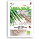 Buzzy® Organic Bunching Onion Seeds Wh