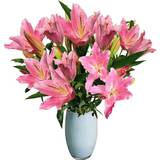 Flowers Flowers for Weddings, Birthday Flowers Just Lilies - Pink Lily Bunches