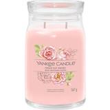 Red Scented Candles Yankee Candle Fresh Cut Roses Signature Large Jar Scented Candle
