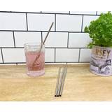 Straws Geko Set of Four Reusable Stainless Straws with Cleaning Brush