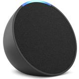 2.4 GHz Speakers Amazon Echo Pop