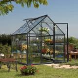 Mini Greenhouses Palram Canopia Harmony 6X6 Greenhouse
