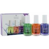 Kaeso manicure scentsational cuticle oil collection gift set