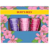 Thick Hand Care Burt's Bees hand cream trio botanical hand cream