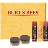 Lip Scrubs Burt's Bees Lip Treatment, Lip Scrub Lip Balms