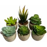 Garden Ornaments Oypla Set of 6 Artificial Succulent Mini Cactus Grass Plants