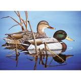 Royal Painting By Numbers Blue Water Mallards