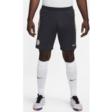 Trousers & Shorts Nike Chelsea Shorts Navy