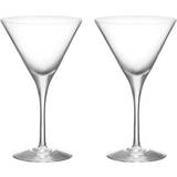 Orrefors Cocktail Glasses Orrefors More Martini Cocktail Glass
