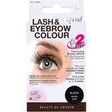Depend Perfect Eye Lash & Eyebrow Colour #4904 Black