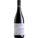 Merlot Red Wines Justo Rosso Appassimento 2018 Corvina Merlot Veronese Veneto 13.5% 75cl
