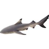 Mojo Blacktip Reef Shark
