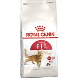 Royal Canin Cats - Dry Food Pets Royal Canin Cat Regular Fit 32 4kg