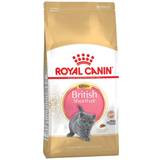 Royal canin kitten food Royal Canin British Shorthair Kitten 2kg