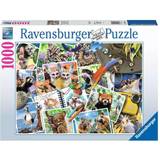 Ravensburger Travellers Animal Journal 1000 Pieces