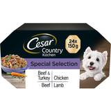 Cesar alutray complete wet dog food country stew specials