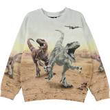 Molo x Jurassic World Miksi Sweatshirt - Dinos Galore (6W22J210-7894)