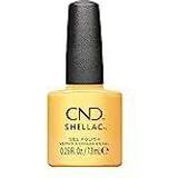 Green Gel Polishes CND Bizarre Beauty Collection Shellac Gel Polish #445 Sundial It Up