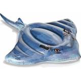 Fishes Water Sports Intex Stingray Ride On