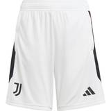 adidas Juventus Tiro 23 Training Shorts