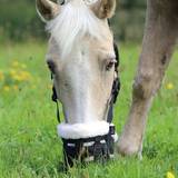 Black Halters & Lead Ropes Shires Deluxe Comfort Grazing Muzzle Pony