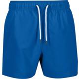 Regatta Men's Mawson III Swim Shorts - Lapis Blue