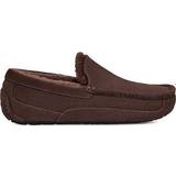 Low Shoes UGG Ascot - Dusted Cocoa