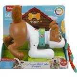 Interactive Pets Fisher Price Crawl with Me Puppy
