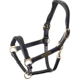 Halters & Lead Ropes on sale Shires Velociti Rapida Cushioned Leather Headcollar