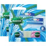 Radox Gift Boxes & Sets Radox Restore Blueberry & Raspberry Bath Bomb Gift Set For Her W/