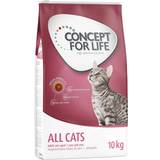 Concept for Life All Cats Economy Pack: