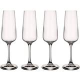 Villeroy & Boch Champagne Glasses Villeroy & Boch Ovid Champagne Glass 25cl 4pcs