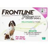 Frontline Plus Spot on Flea Treatment Large Dog 3 pipettes