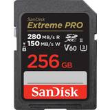 SanDisk 256 GB - SDXC Memory Cards SanDisk Extreme PRO SDXC Class 10 UHS-II U3 V60 280/150MB/s 256GB