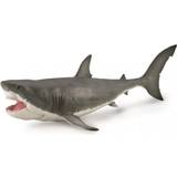 Collecta Figurines Collecta Megalodon Dinosaur With Movable Jaw