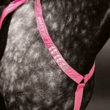 Shires Equi-Flector Breastplate, Pink Pony/Cob Pink