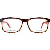 Orange Glasses & Reading Glasses Tommy Hilfiger TH1446 L9G Havana Orange Men