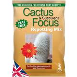 Soil Cactus & Succulent Focus Peat Free Repotting Mix 3L