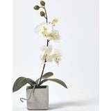 Homescapes Orchid Flowers White Artificial Plant
