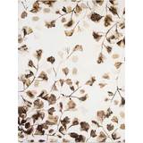 Beige Wall Decorations Art for the Home Sepia Nature Trail Printed Canvas Wall Decor