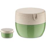 Wood Food Containers Koziol Bentobox lunch box Food Container