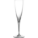 Baccarat Kitchen Accessories Baccarat Dom Perignon Champagne Glass