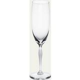 Lalique 100 Points Crystal Champagne Glass